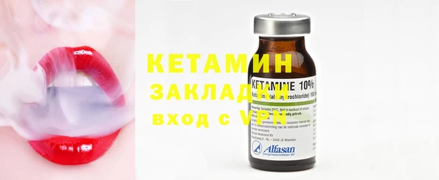 стаф Аркадак