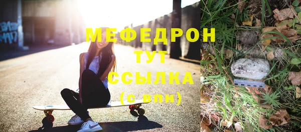 стаф Аркадак
