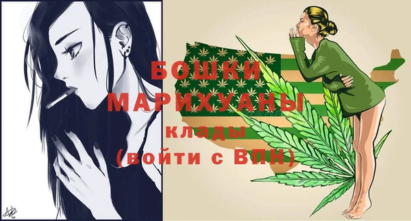 стаф Аркадак