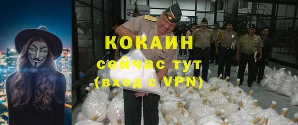 стаф Аркадак